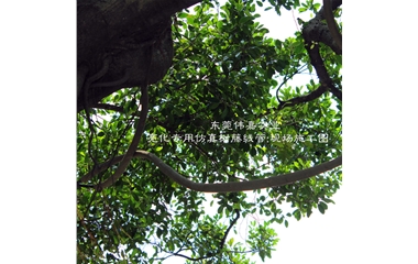 內(nèi)徑20MM仿真樹(shù)藤穿線管